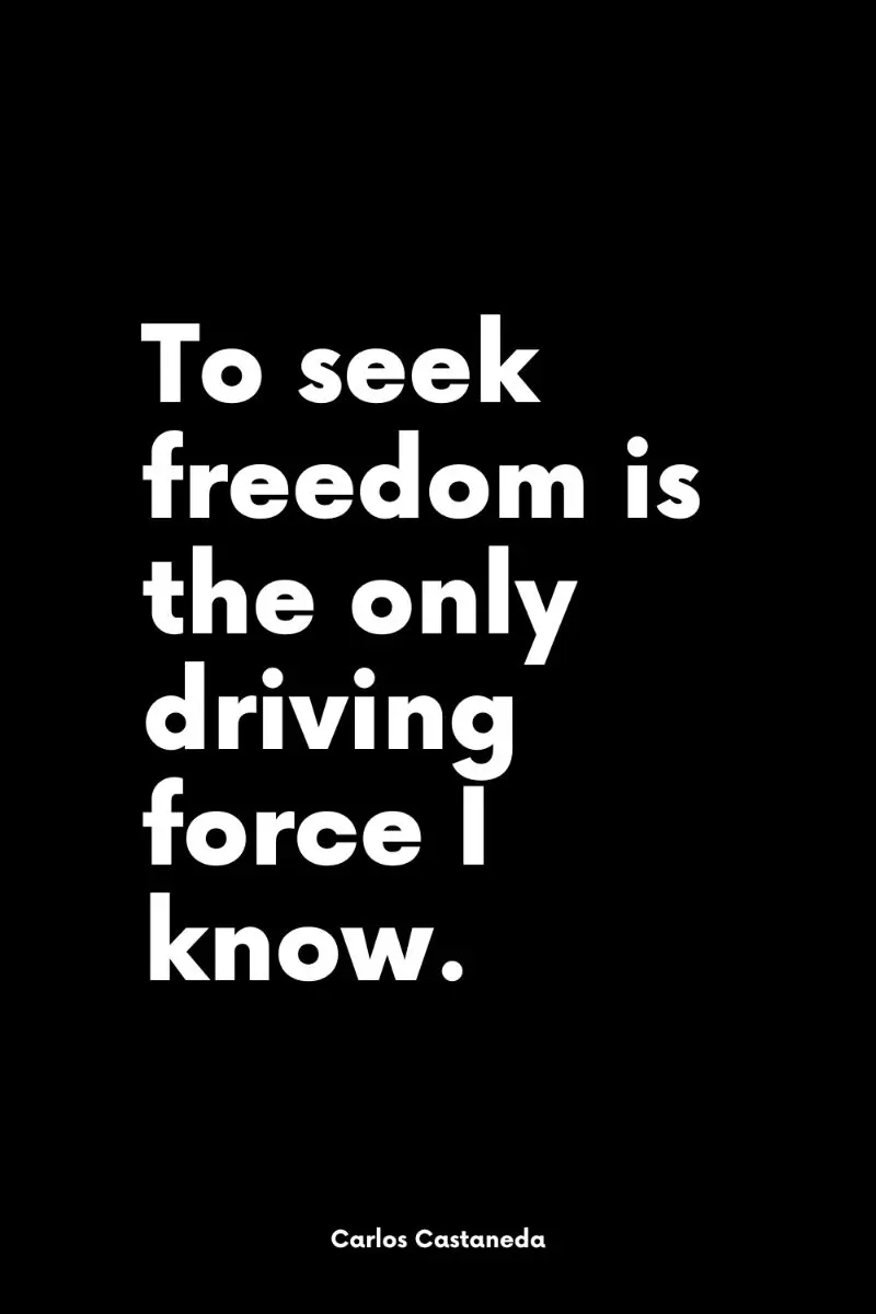 To seek freedom is the only driving force I know Carlos Castaneda quote