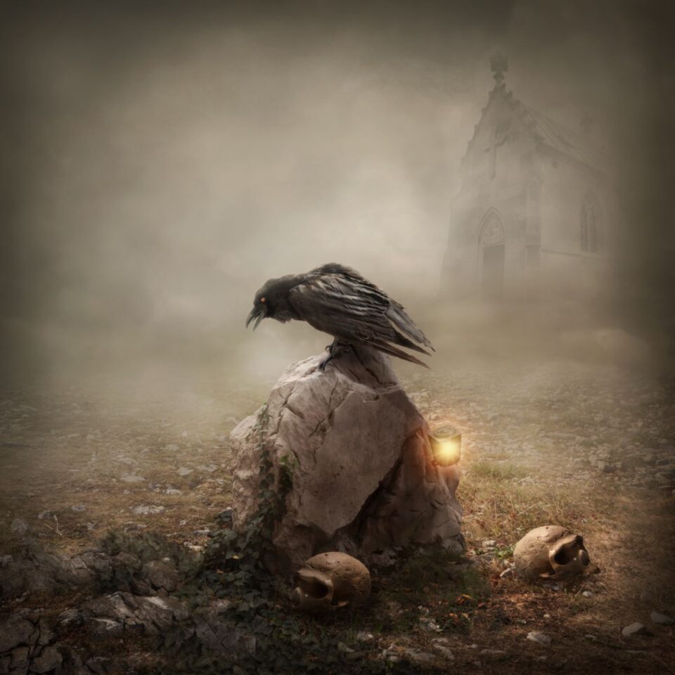 Spiritual Meaning Of Birds Singing At Night Owl, Raven, Cuckoo, Crow