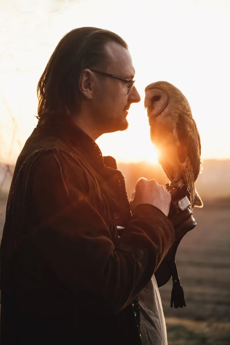 Seeing An Owl At Night Spiritual Meaning