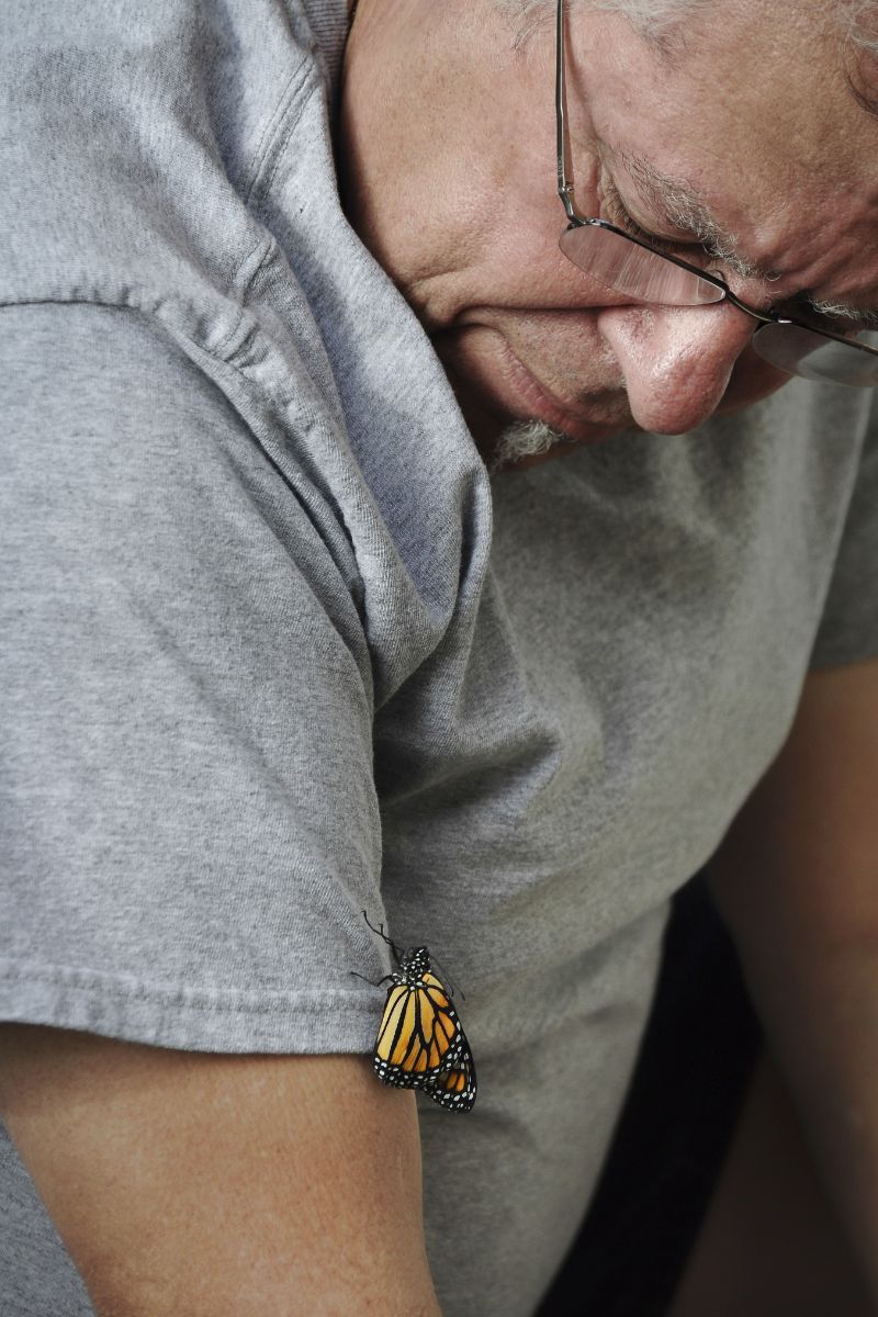 What does it mean when a butterfly flies around you spiritually