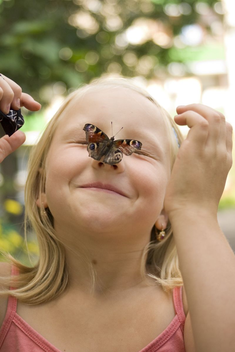 Spiritual Meaning Of Seeing A Butterfly