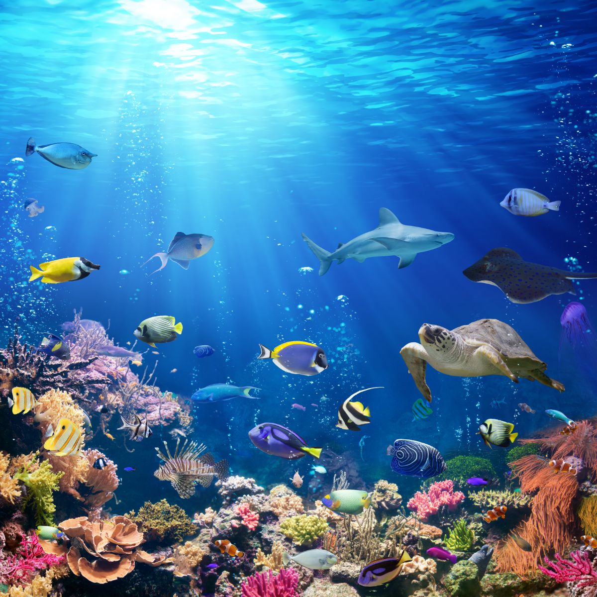 What Is The Spiritual Meaning Of Fish In A Dream