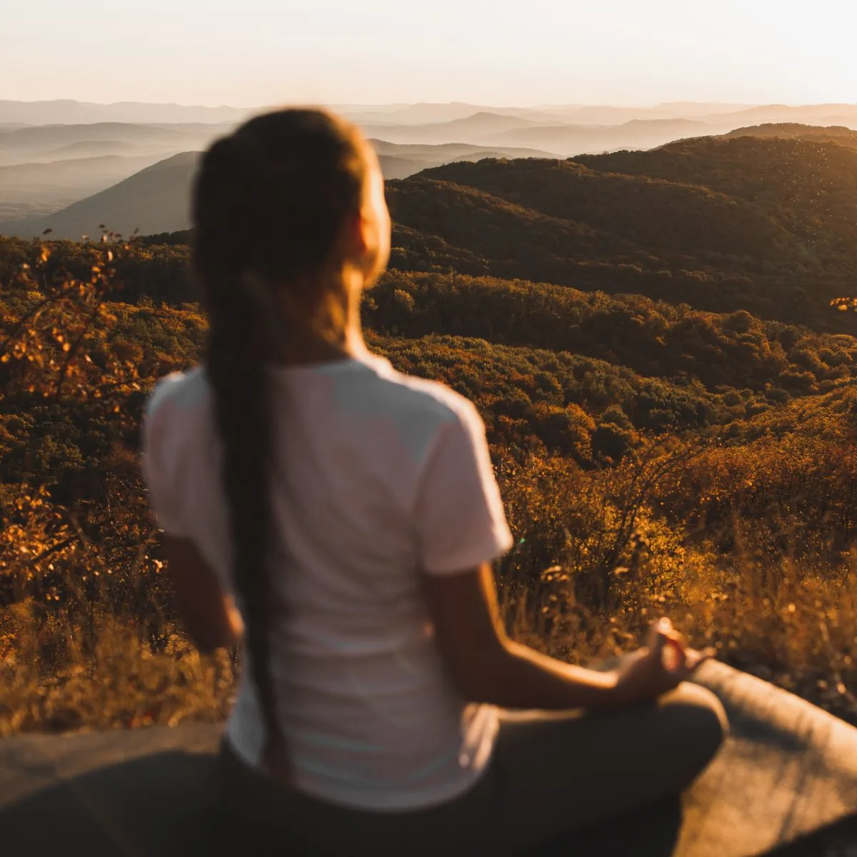 Palo Santo Spiritual Benefits