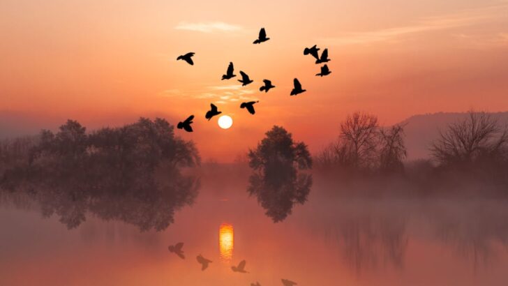 spiritual meaning of the color orange