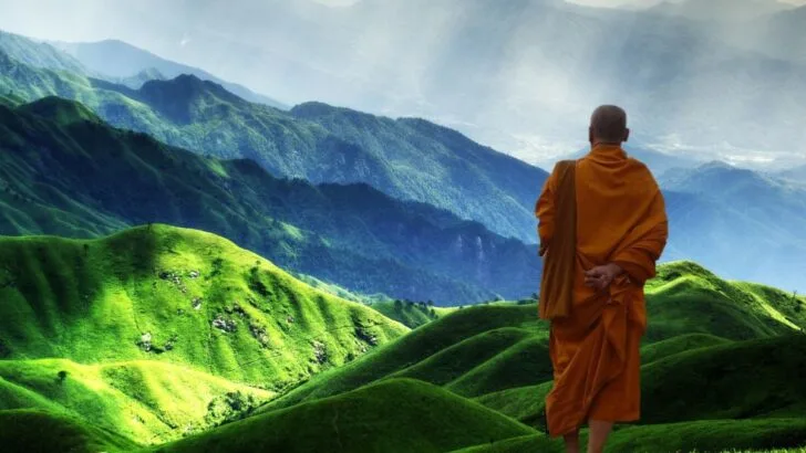 20 Free Will Quotes